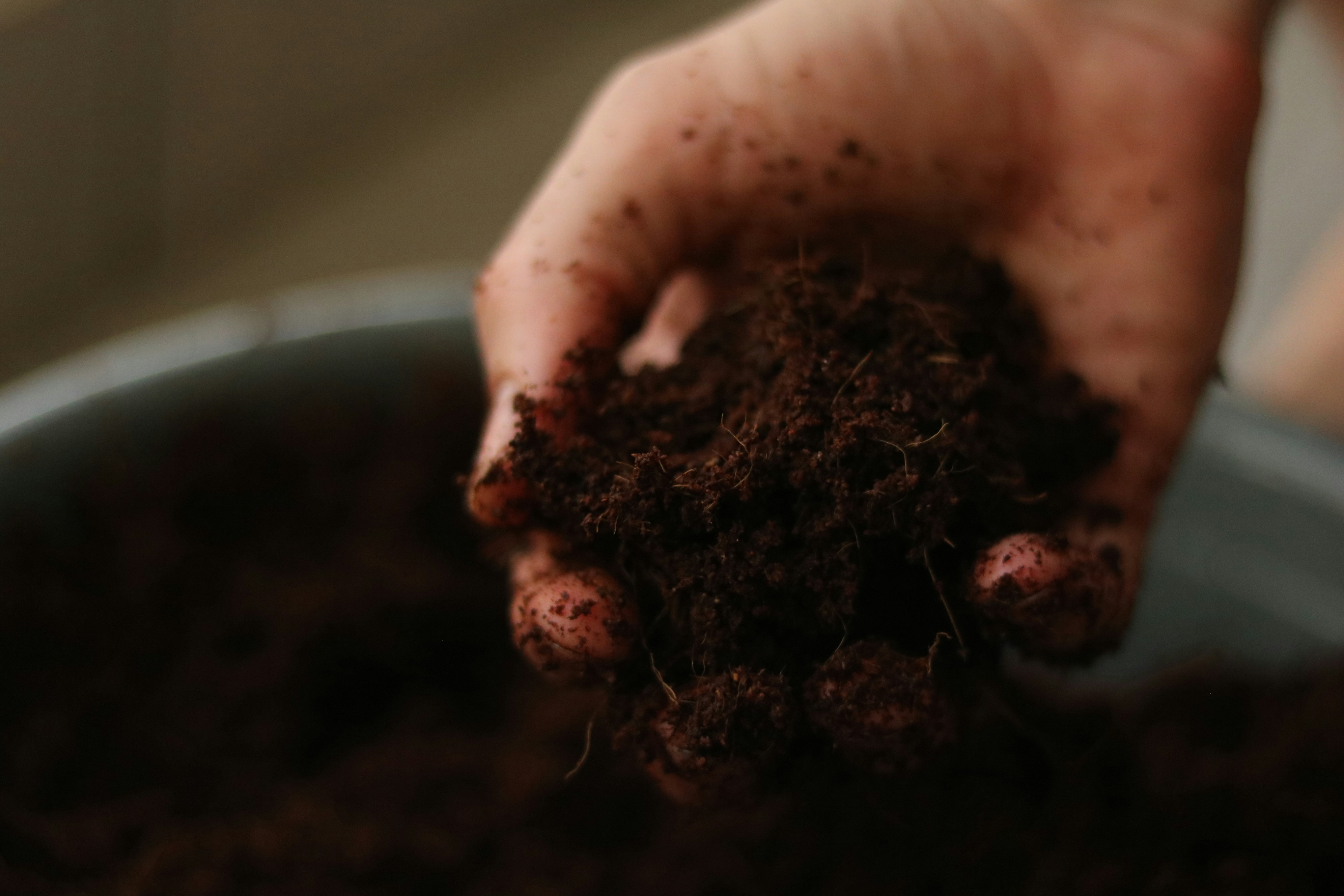 Best Soil Mix for Growing Cannabis at Home