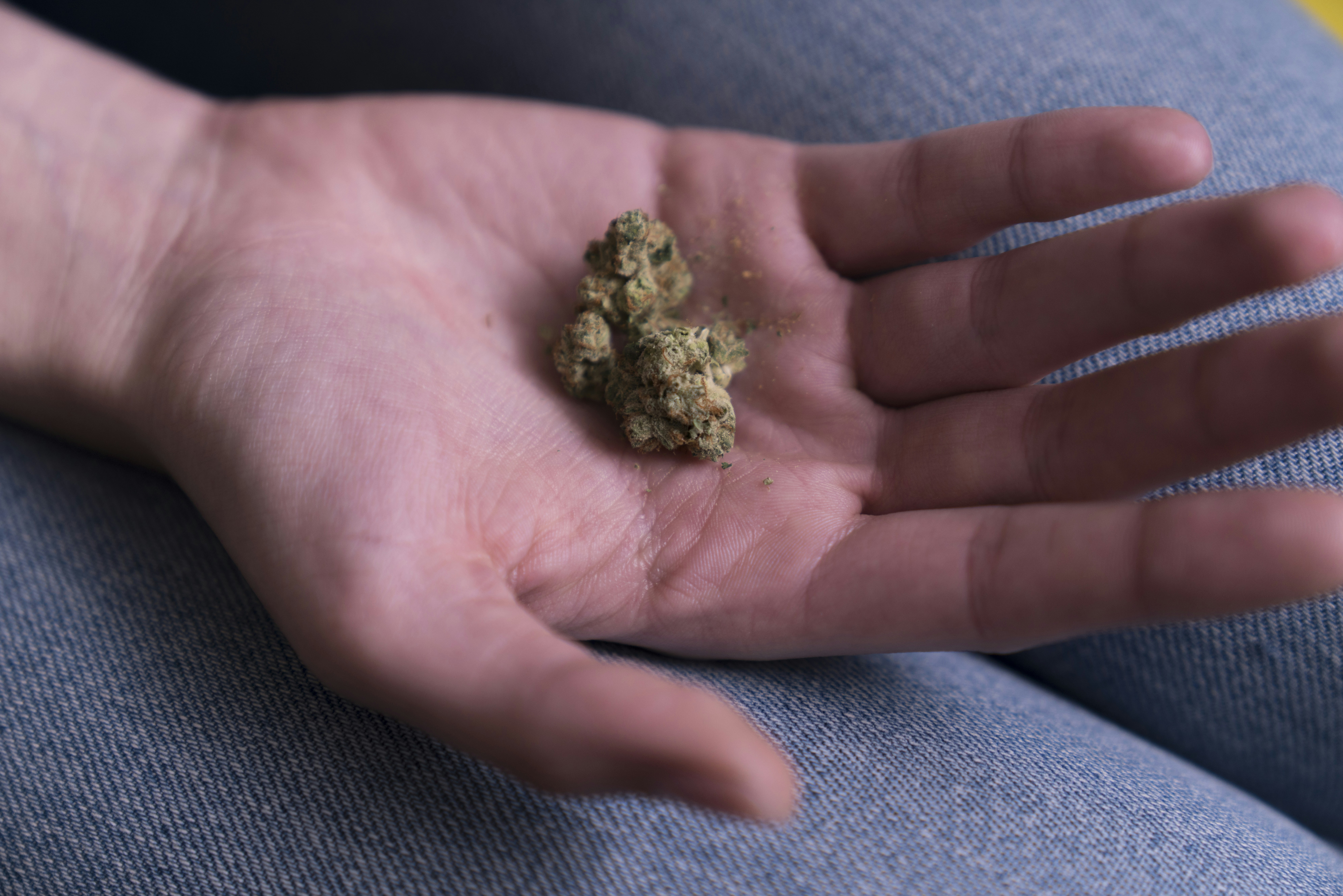 Cannabis Tolerance and Reset Breaks