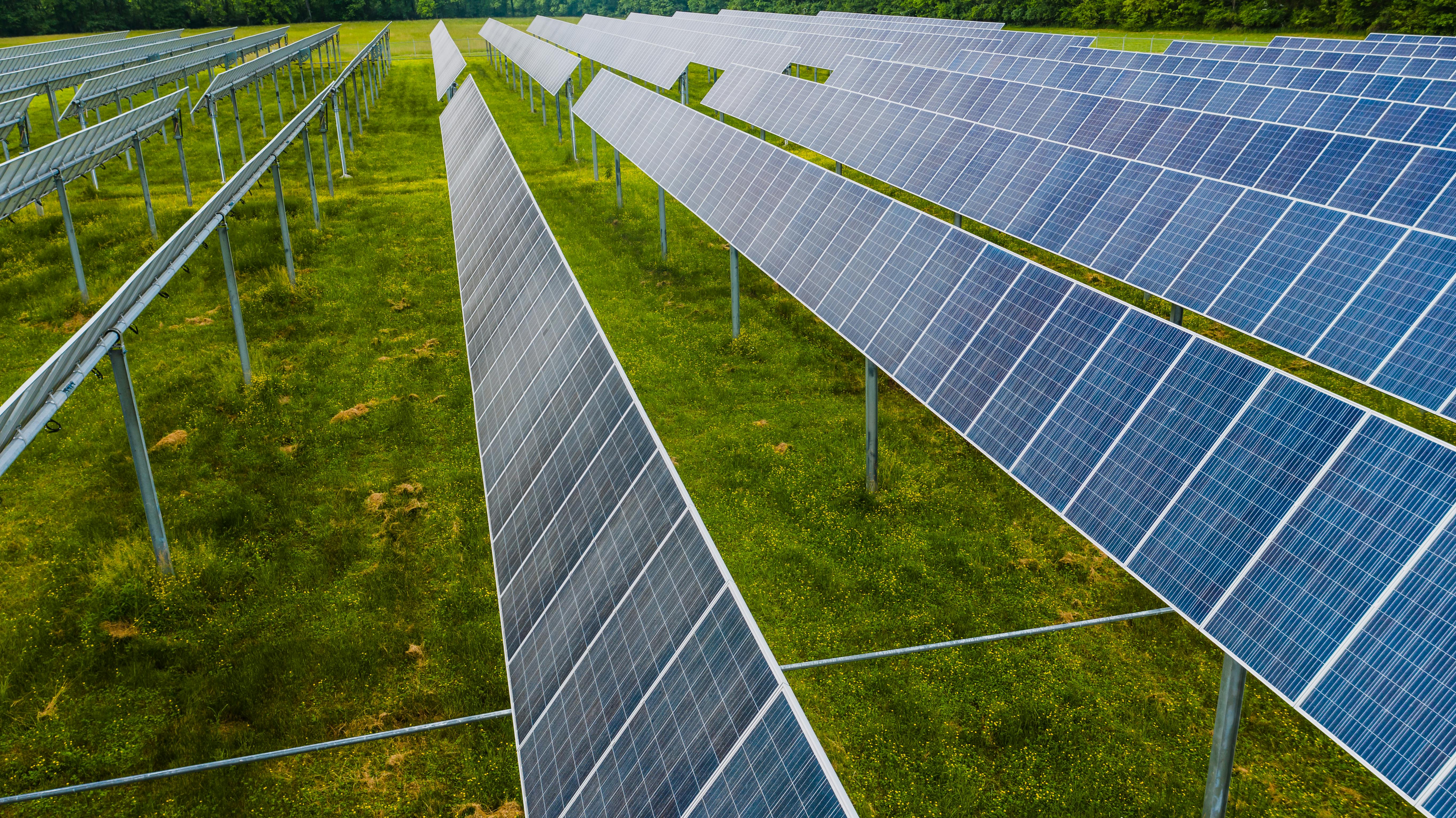 Sustainability in the Cannabis Industry