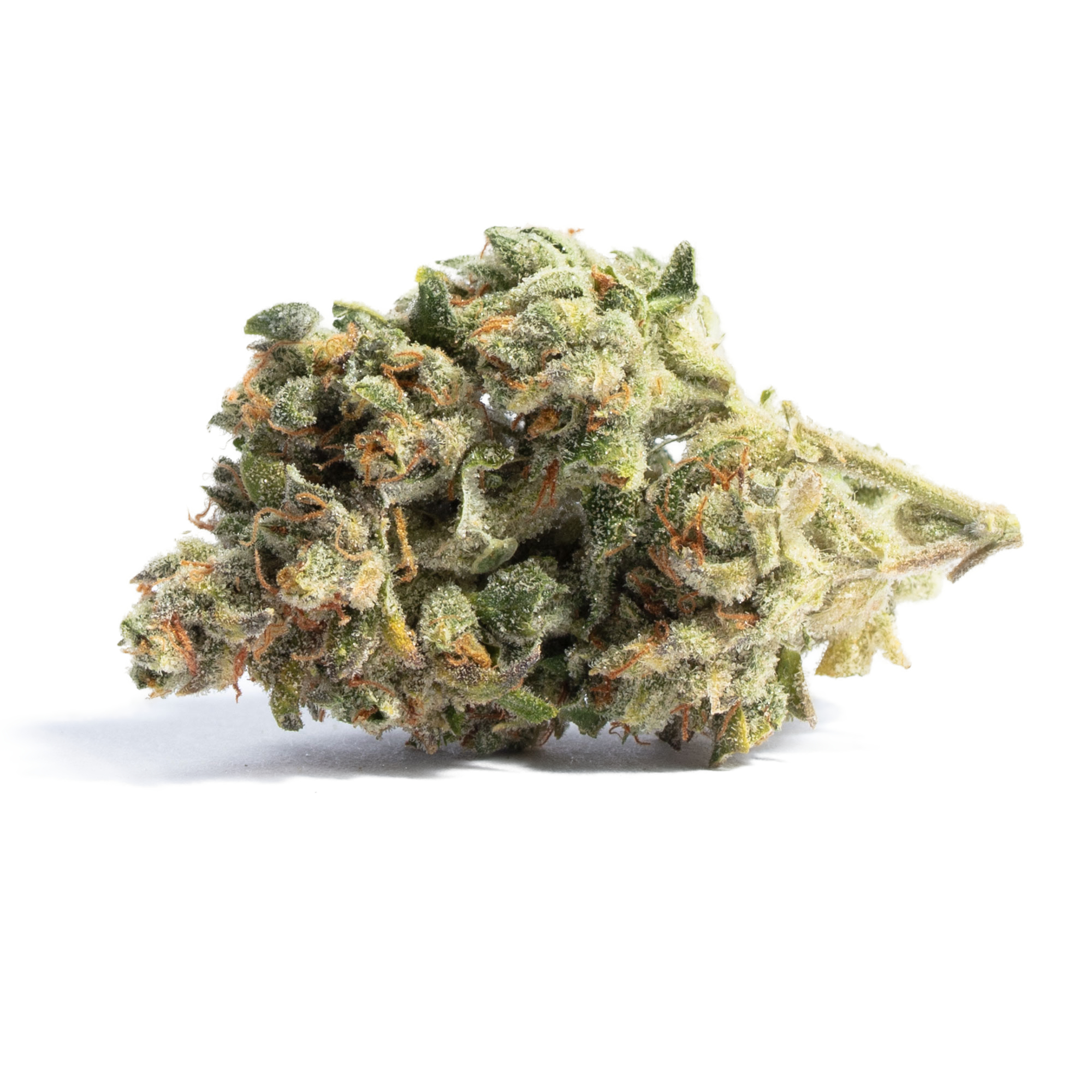 Acapulco Gold strain image