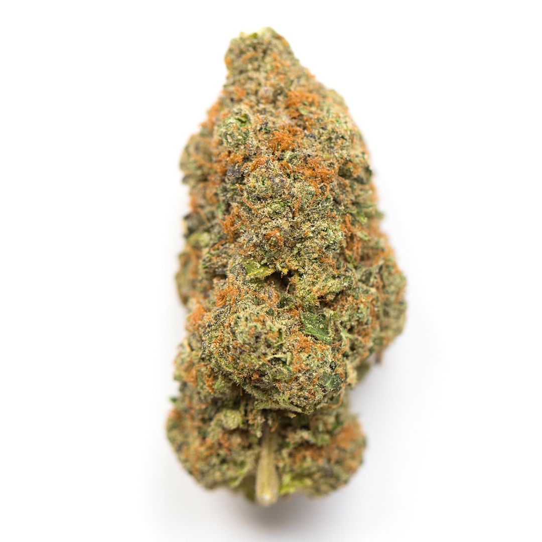AK 48 strain image