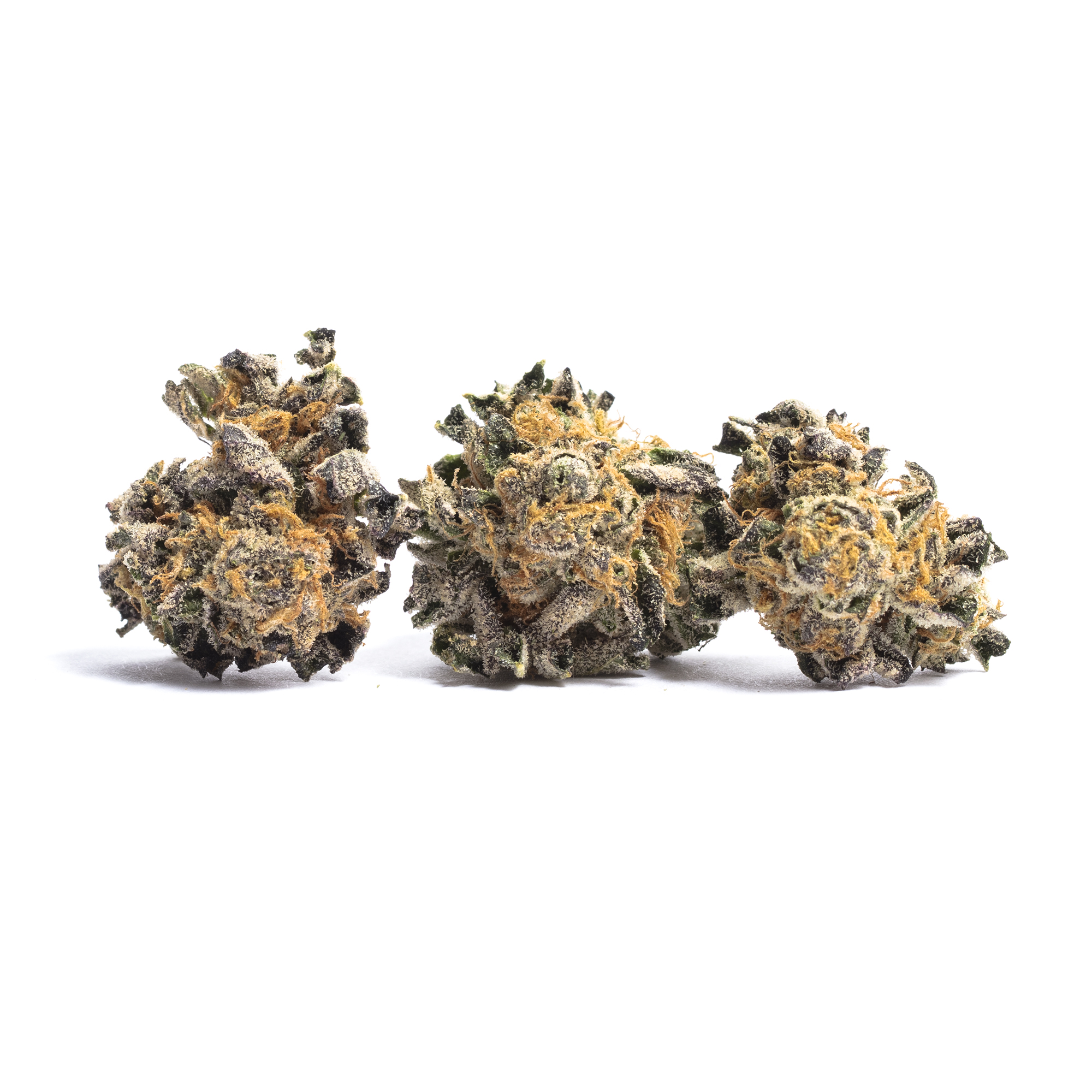 Animal Cookies strain image