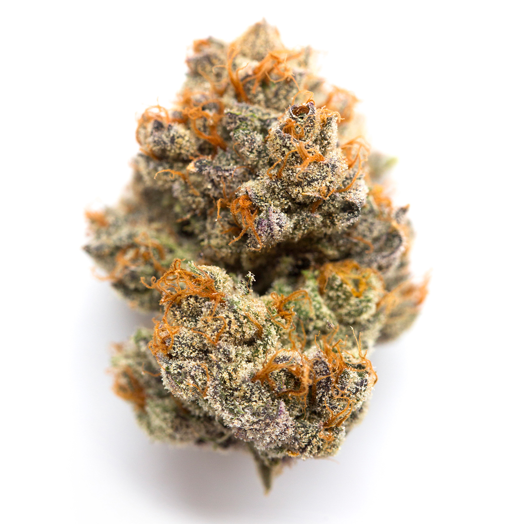 Blackberry strain image