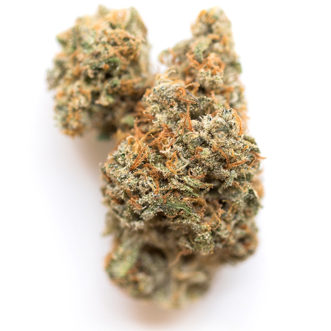 Blue Magoo strain image