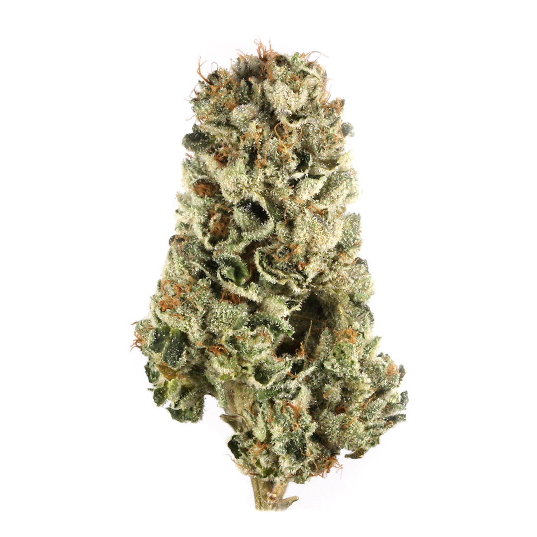 Cherry Pie strain image