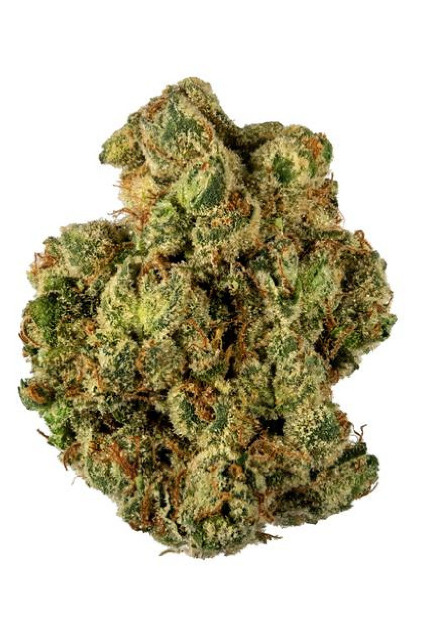 G13 strain image