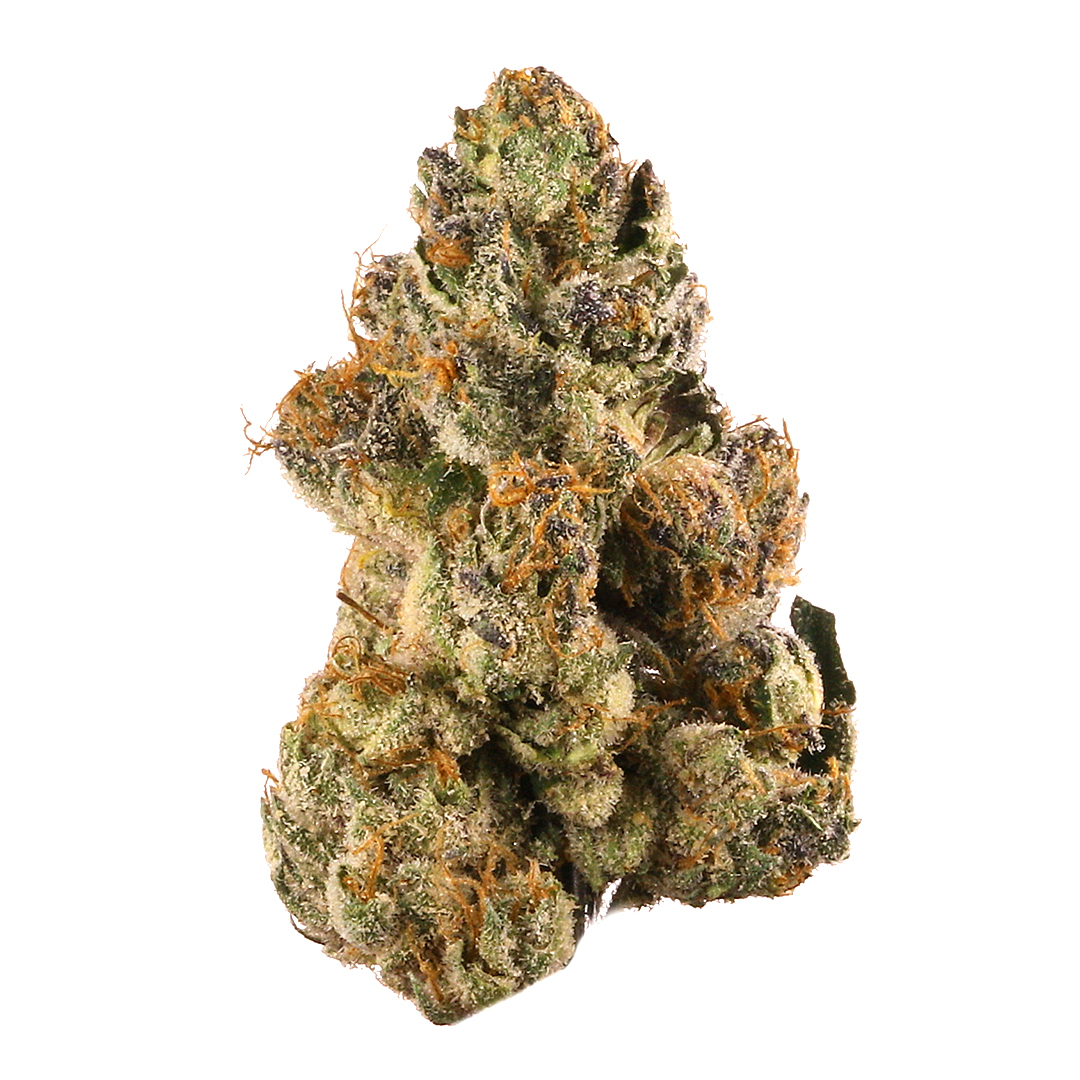 Gelato strain image