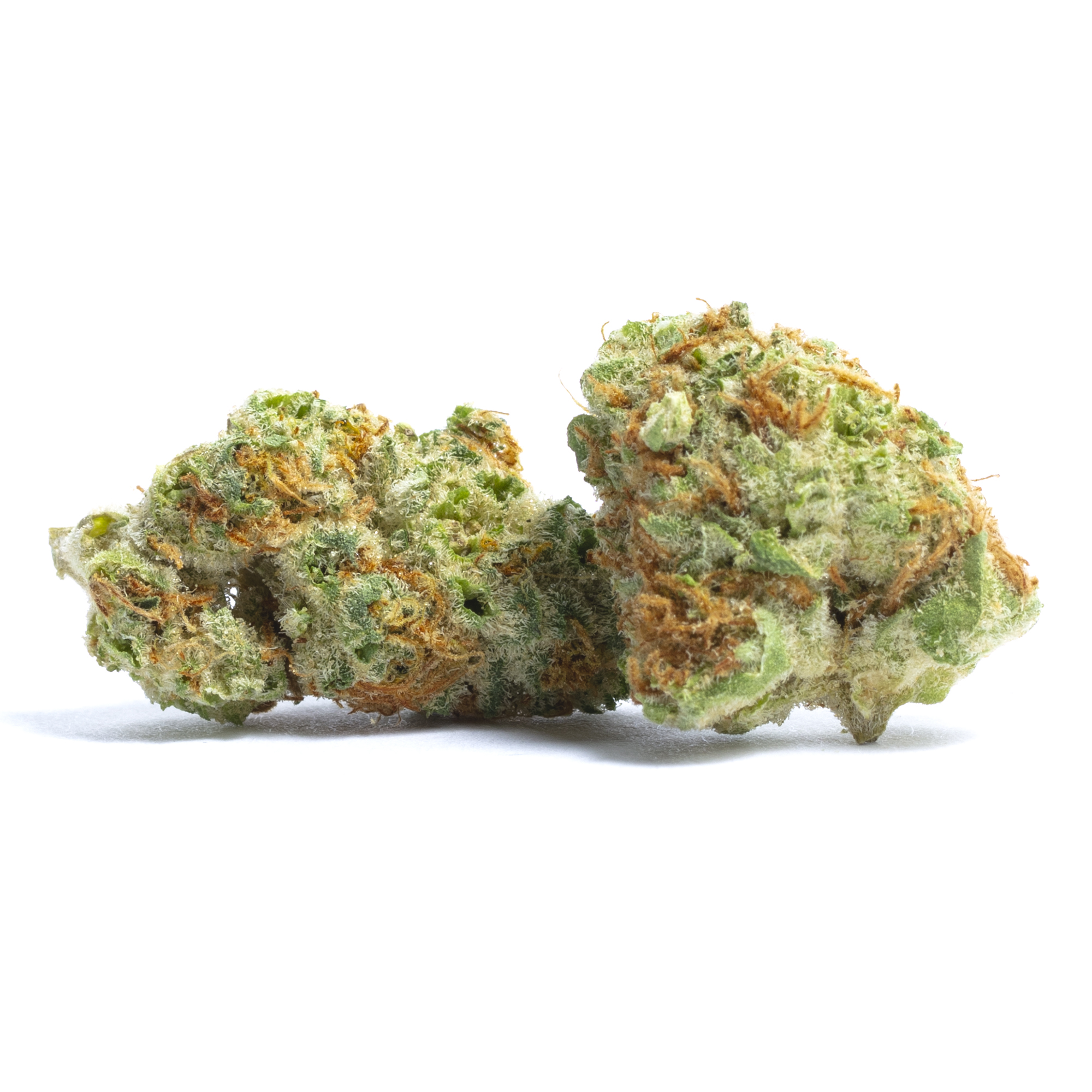 Jillybean strain image
