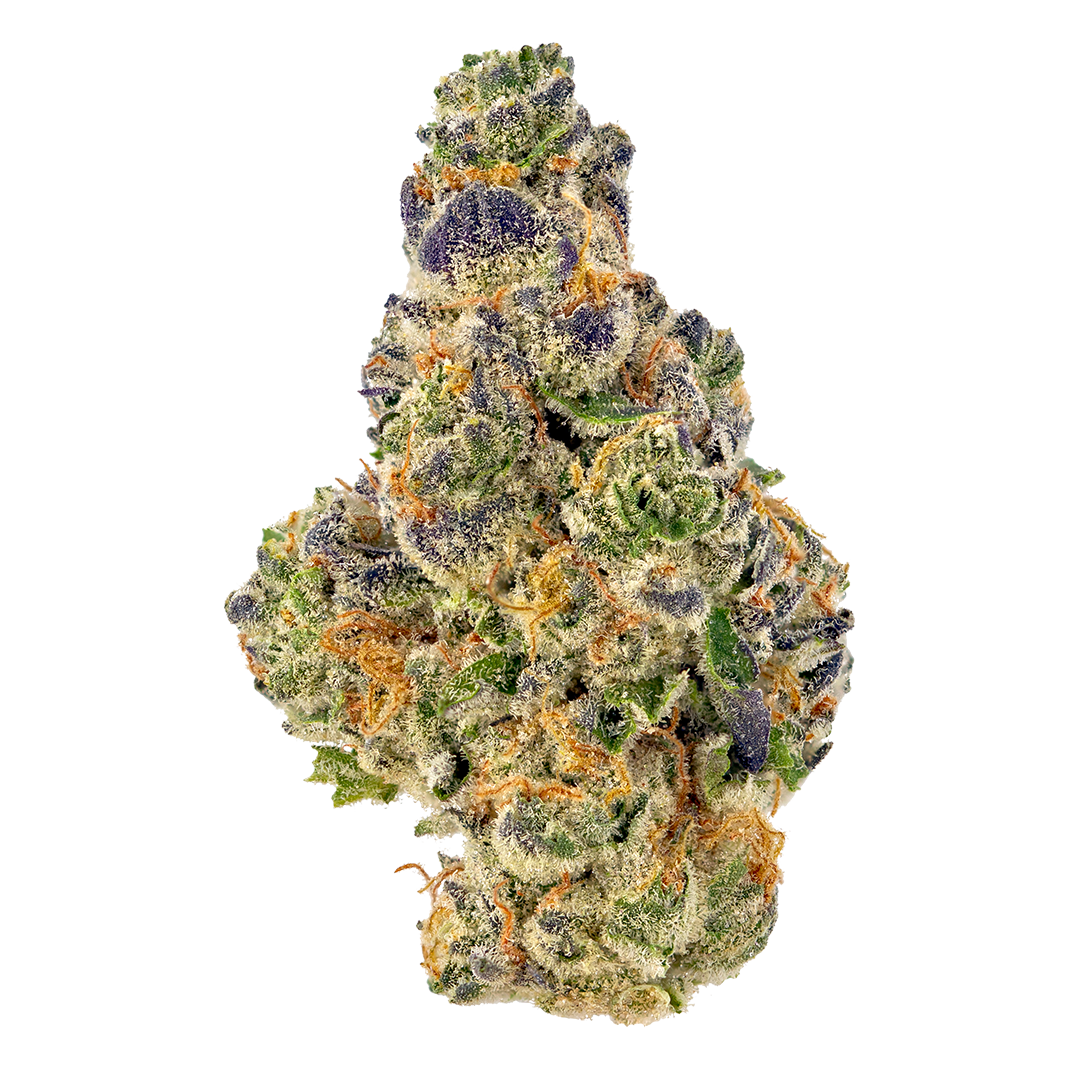 La Confidential strain image