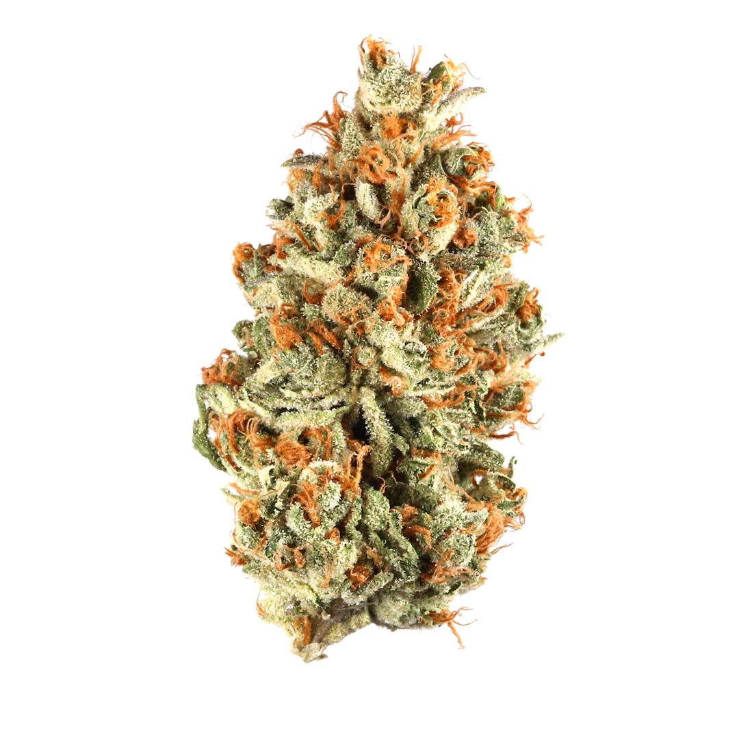 Orange Bud strain image