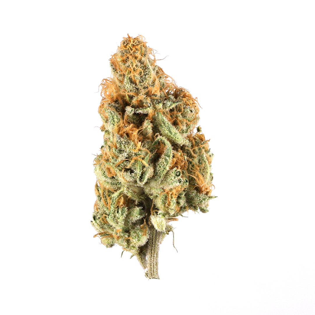 Orange Creamsicle strain image