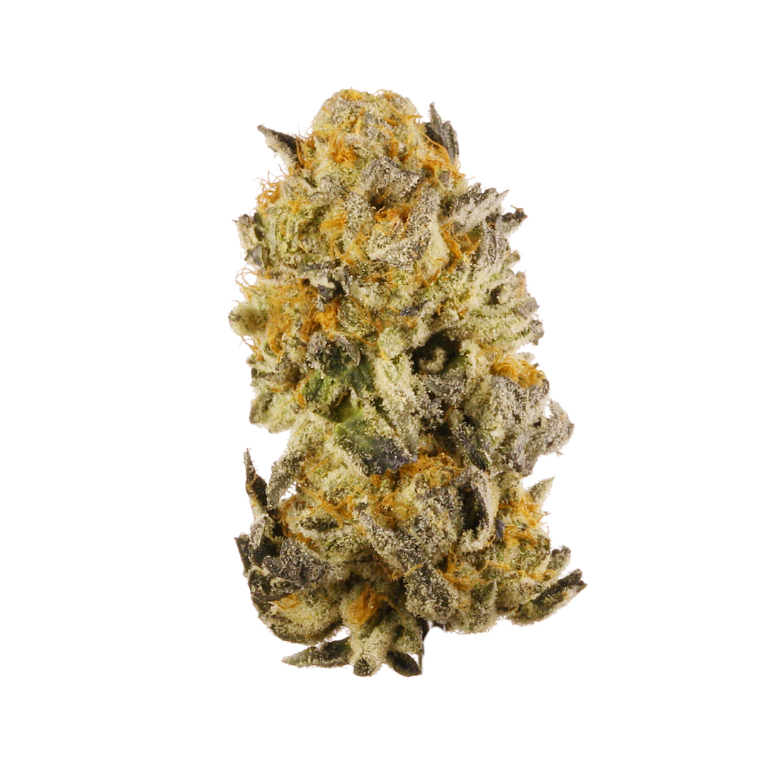 Platinum GSC strain image