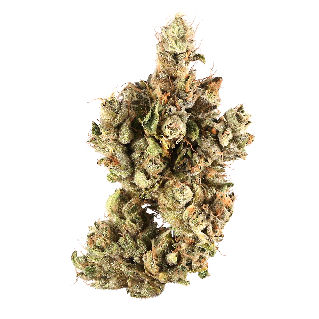 Pre 98 Bubba Kush strain image