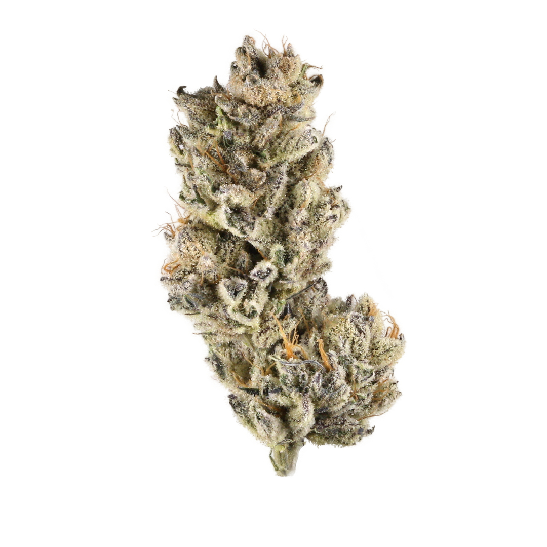 Purple Dream strain image