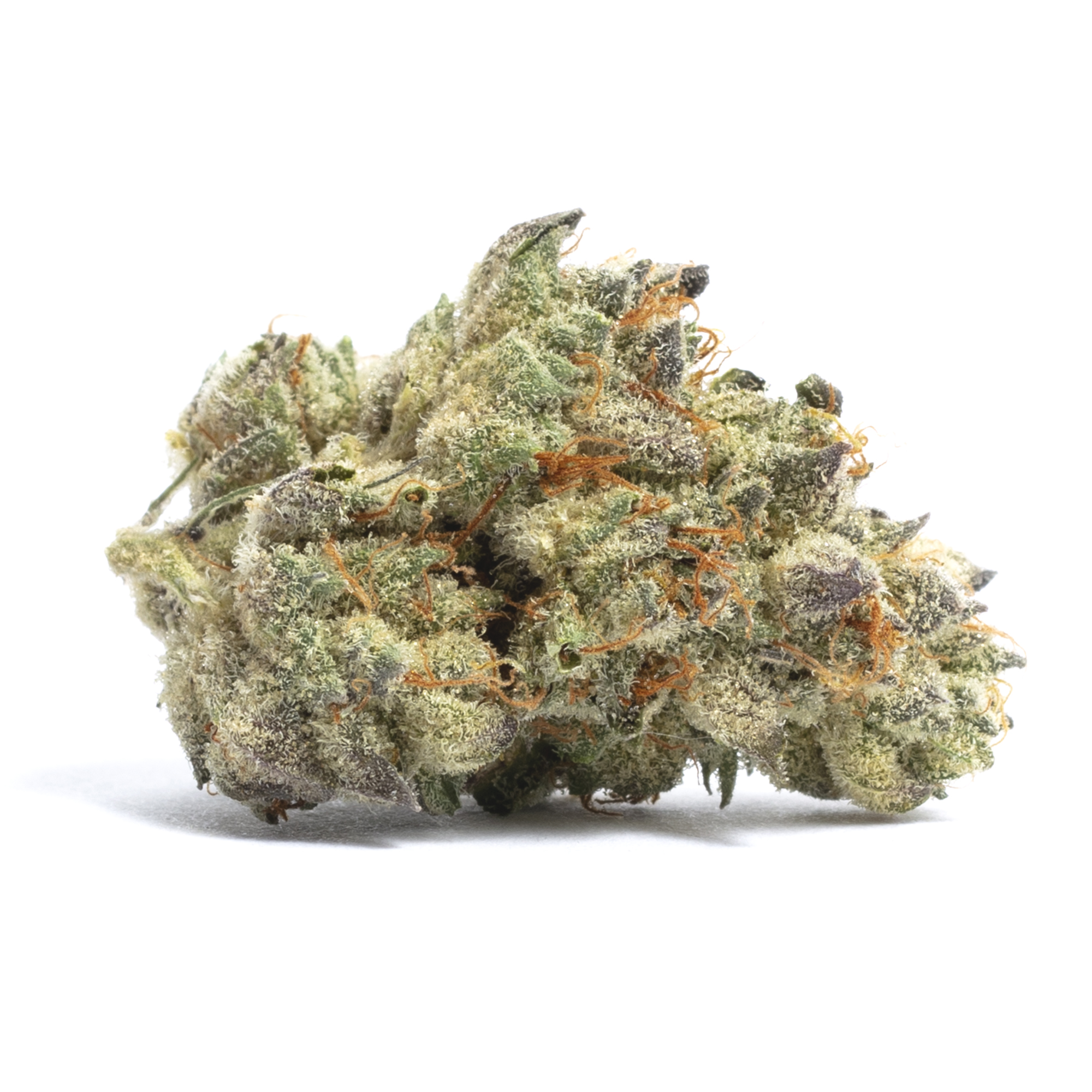 Purple Elephant strain image