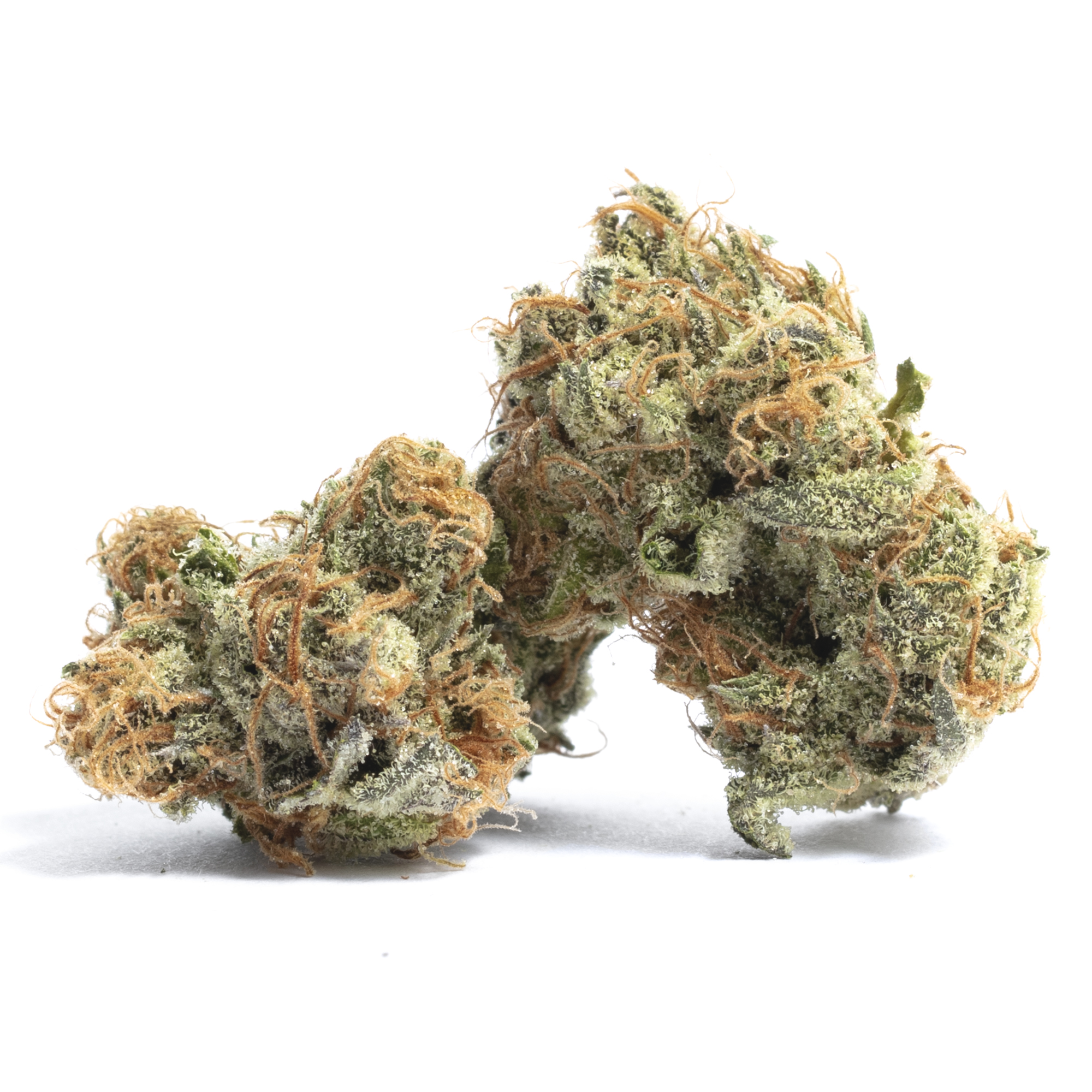 Purple Urkle strain image