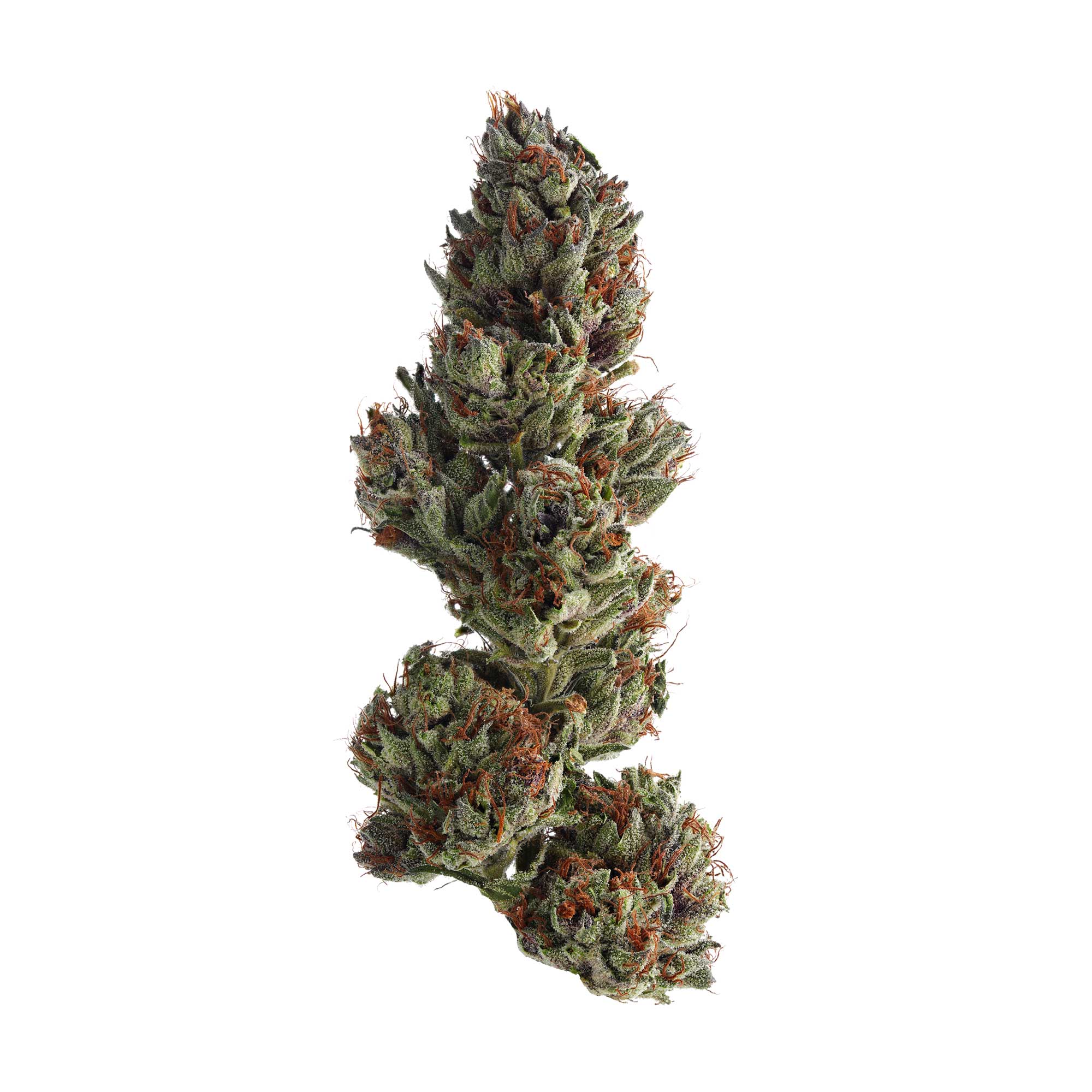 Runtz strain image