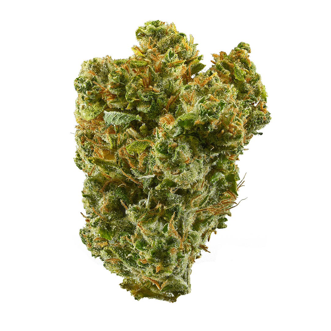 Super Silver Haze strain image