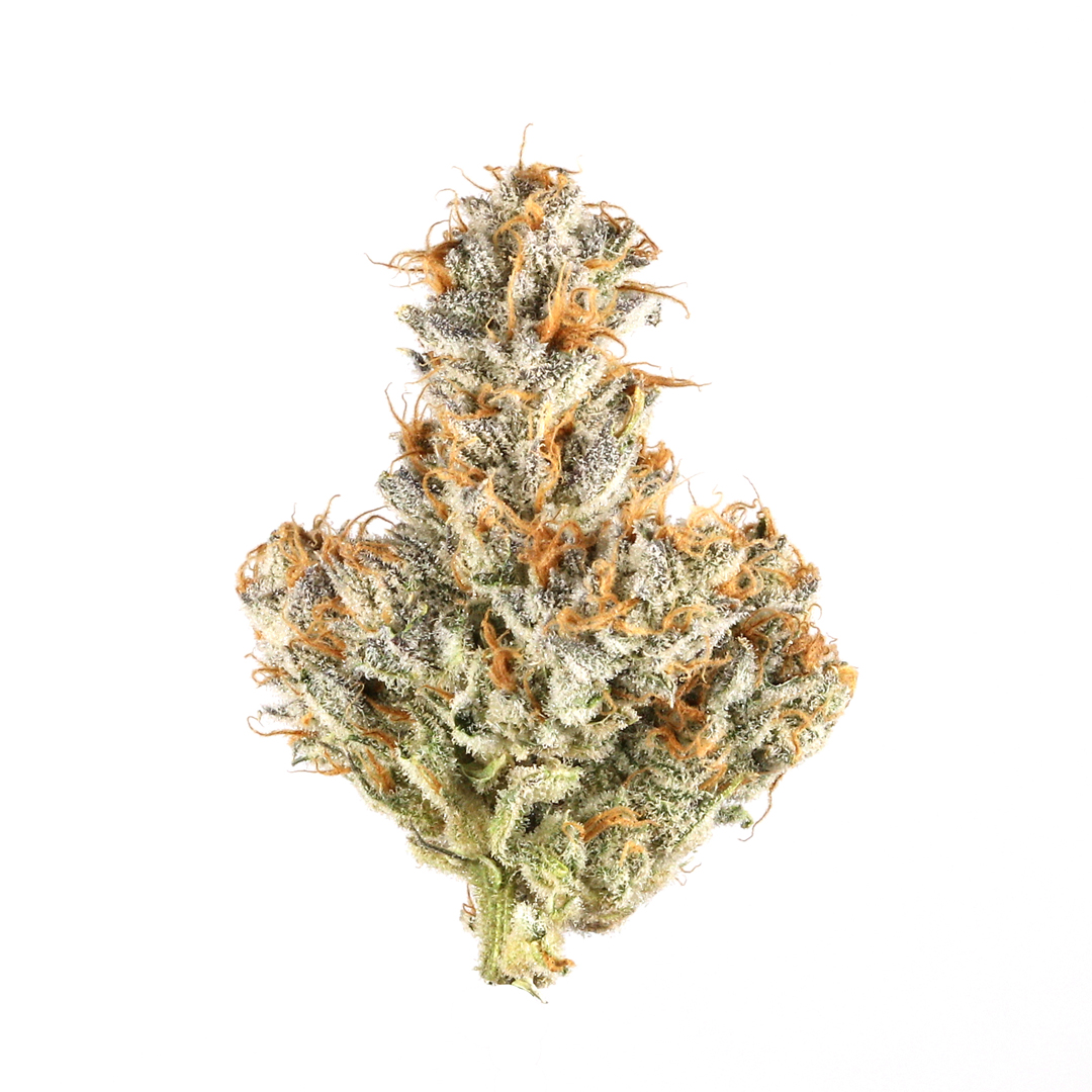 White Bubblegum strain image