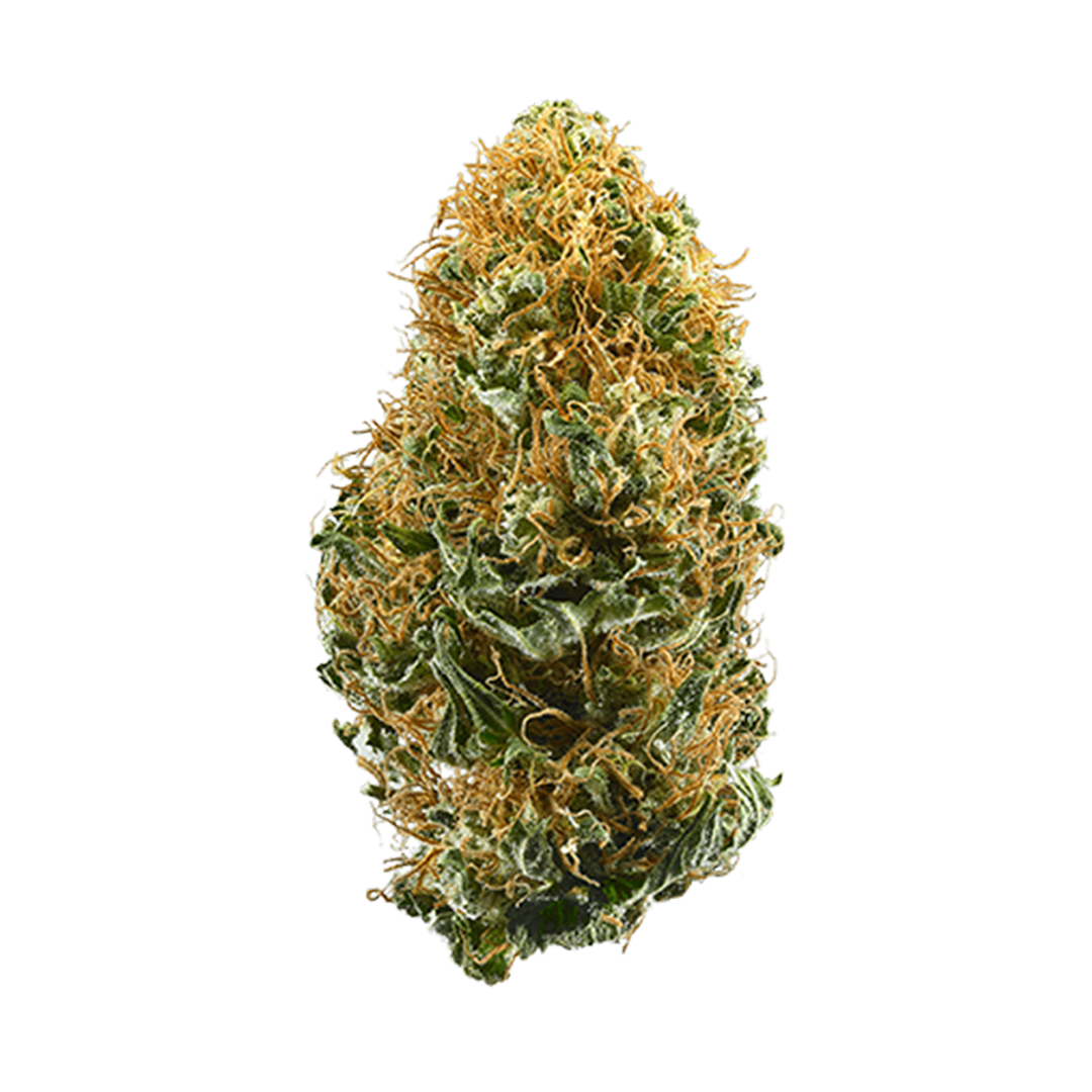 White Widow strain image