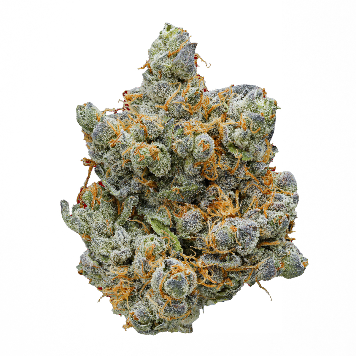 Zkittlez strain image